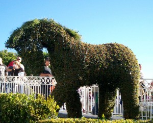 Draft horse topiary - It's A Small World - Disneyland - 2012