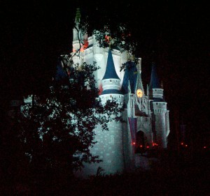 Cinderella Castle - Magic Kingdom - Walt Disney World - 2009