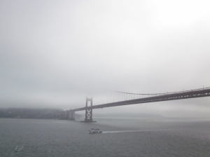 Golden Gate Bridge. Photo by P. Rickrode 2014.