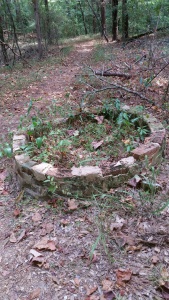 Old well at Rocky Springs. Photo by P. Rickrode, August 2015.