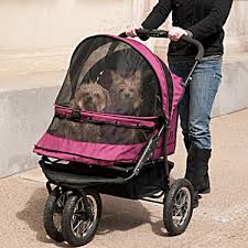 dogs-in-stroller